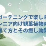 ガーデニングで楽しむシニア向け観葉植物の育て方とその癒し効果